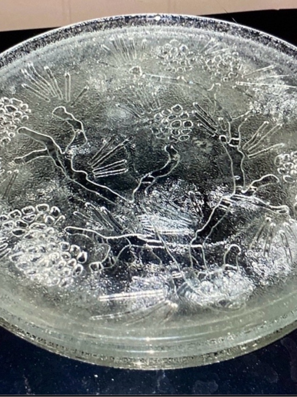 Clear Textured Glass Decorative Ponderosa 8” salad plate 1970’s